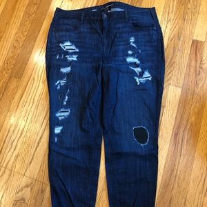 Lane Bryant Jeans